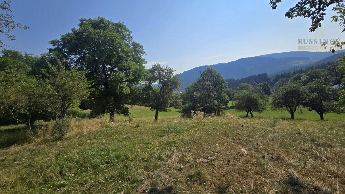 Weitläufige grüne Landschaft mit Bäumen und Panoramablick auf die bewaldeten Berge.