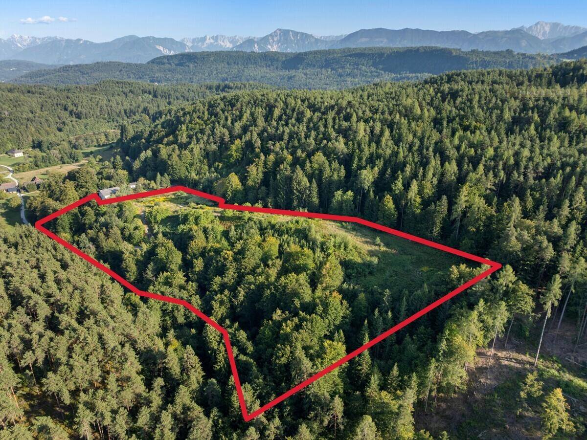 Luftaufnahme eines großen Waldgrundstücks mit roter Markierung und weitem Blick auf die Berge im Sonnenschein.