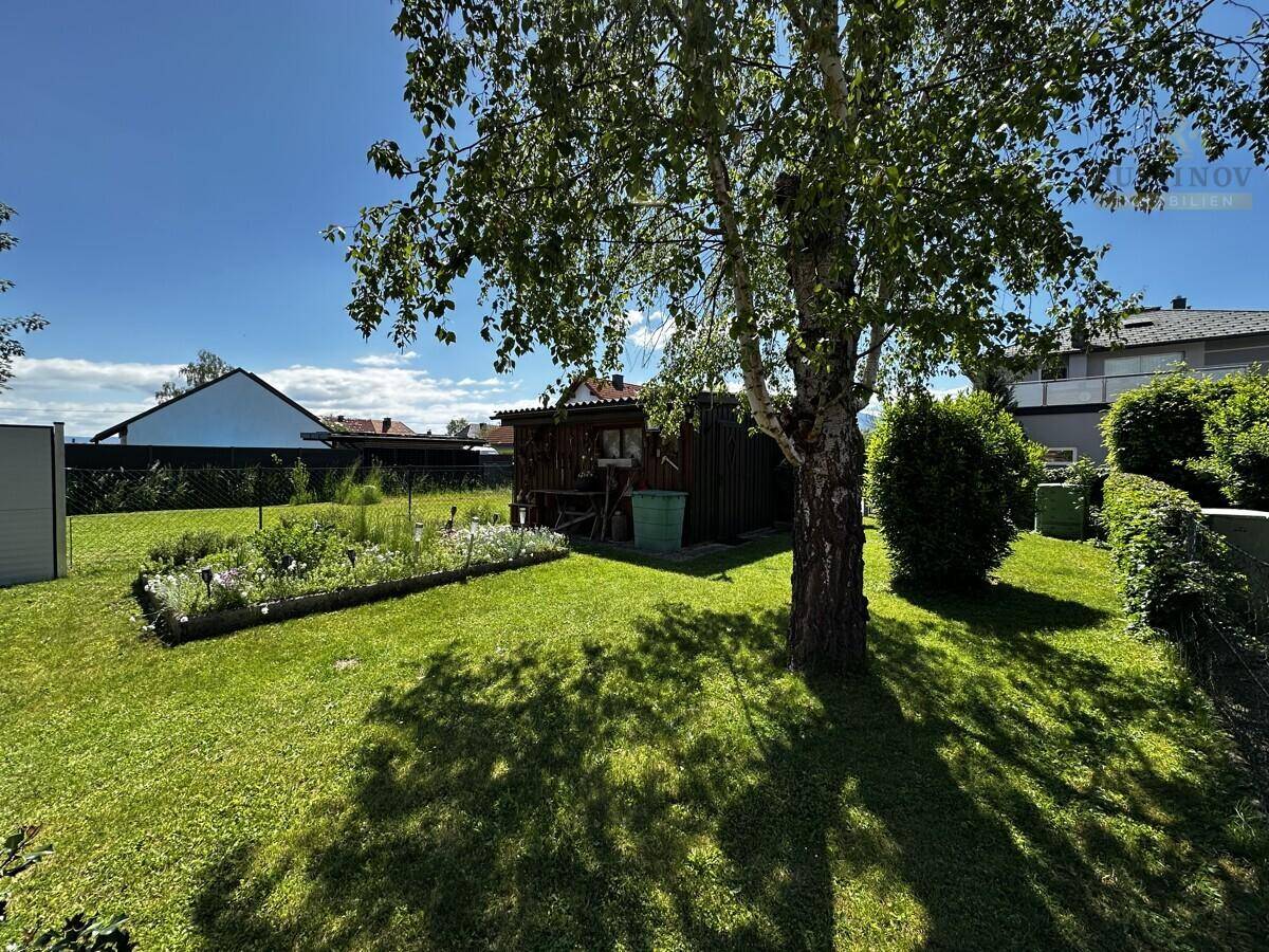 Weitläufiger Gartenbereich mit altem Birkenbaum, Rasen und einem praktischen Geräteschuppen am Rand.