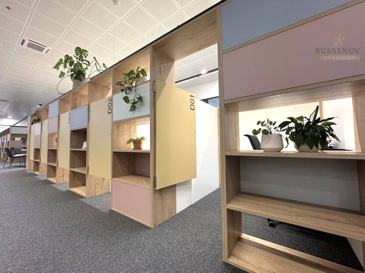 Langer Flur in einem modernen Büro mit farbigen Regaleinheiten und Pflanzen, die eine freundliche Atmosphäre schaffen.