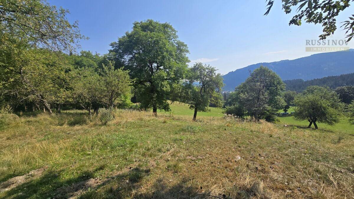 Weitläufige grüne Landschaft mit Bäumen und Panoramablick auf die umliegenden Berge.