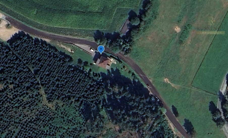 Google Lage