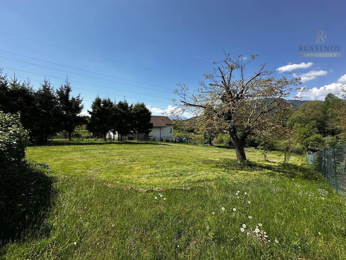 Weitläufige grüne Wiese mit einem einzelnen Baum, einem Haus in der Ferne und Bergen.