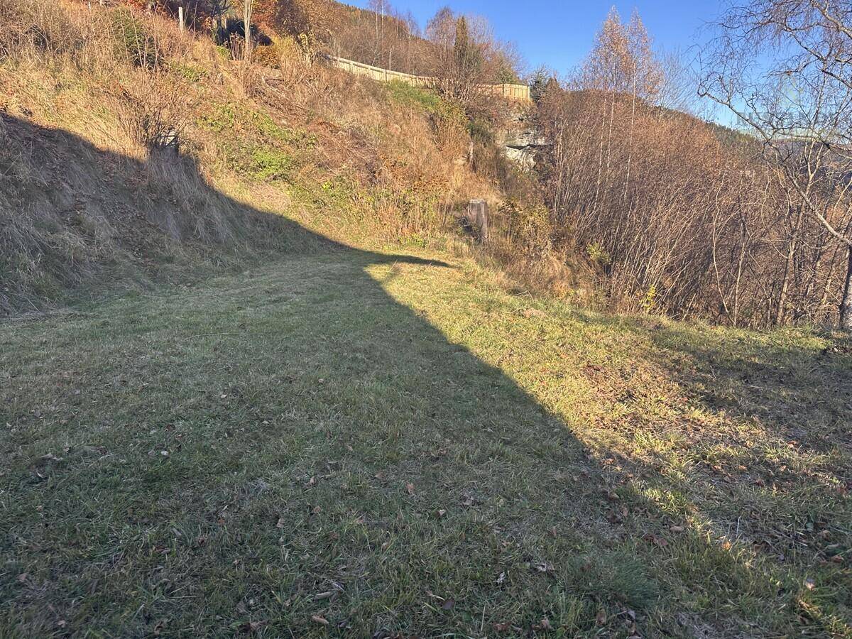 Grüne Wiese auf einem Hanggrundstück mit natürlicher Vegetation und Sonnenlicht.