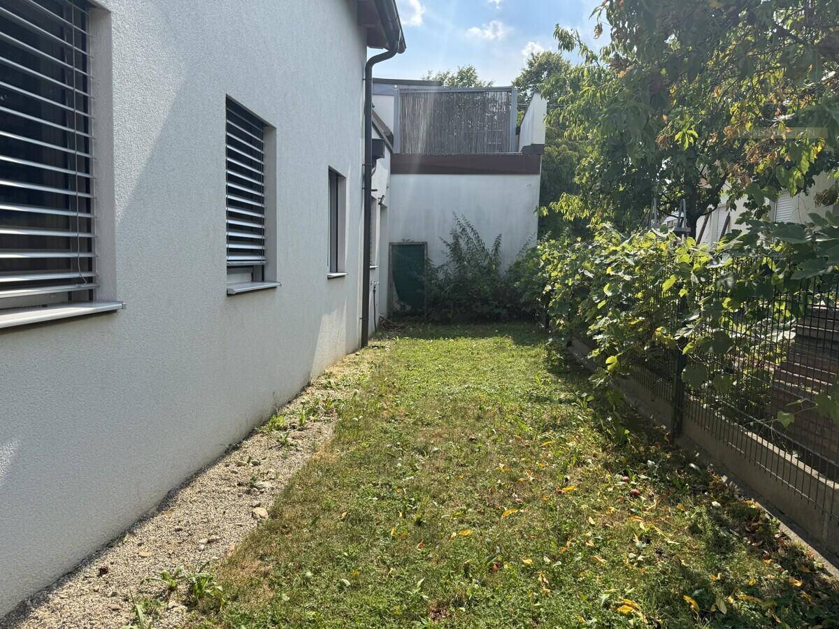 Seitlicher Gartenbereich des Hauses mit Rasenfläche, Büschen und einem Zaun.