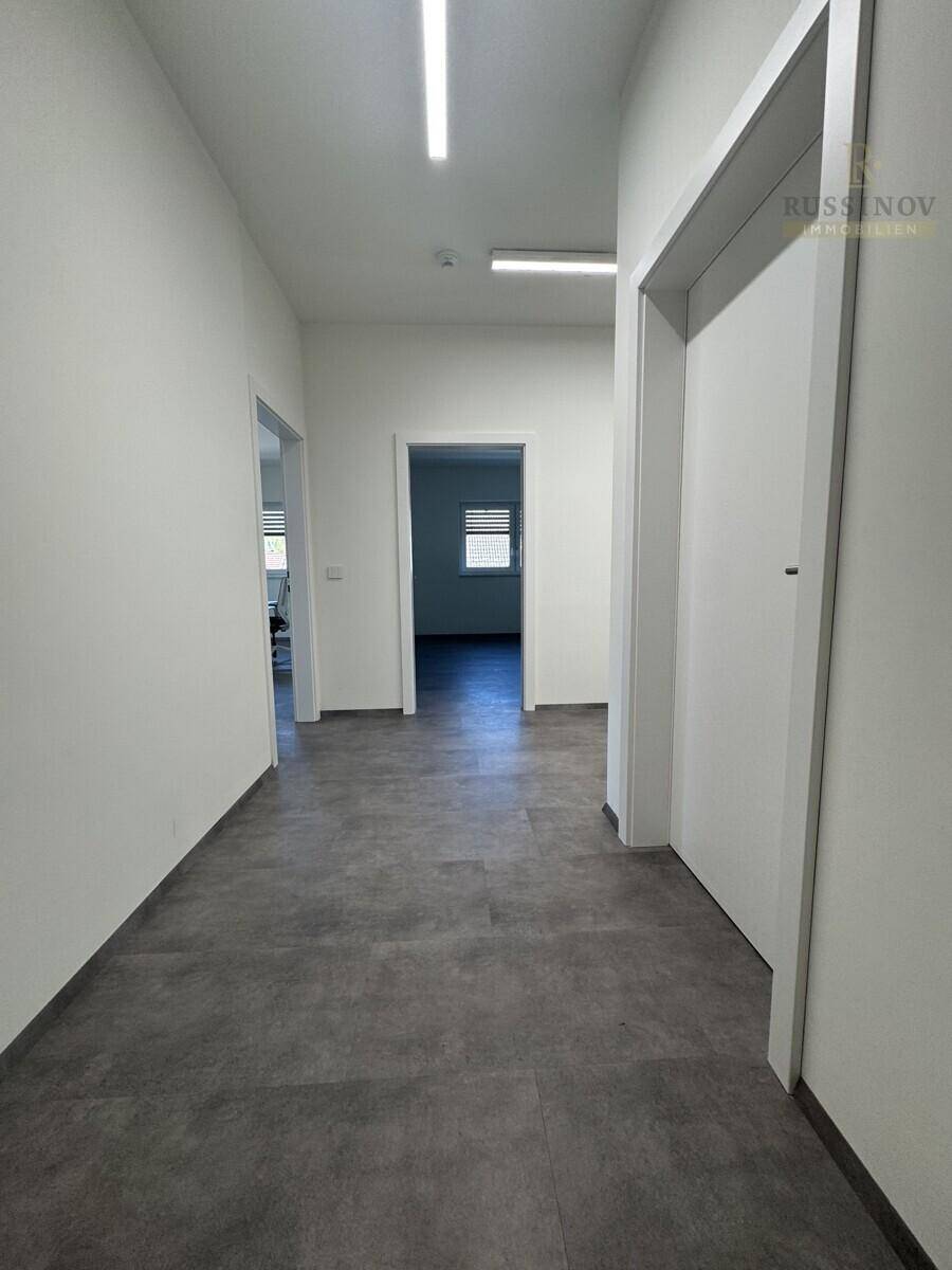 Langer, heller Flur mit mehreren Türen und dunklem Bodenbelag.