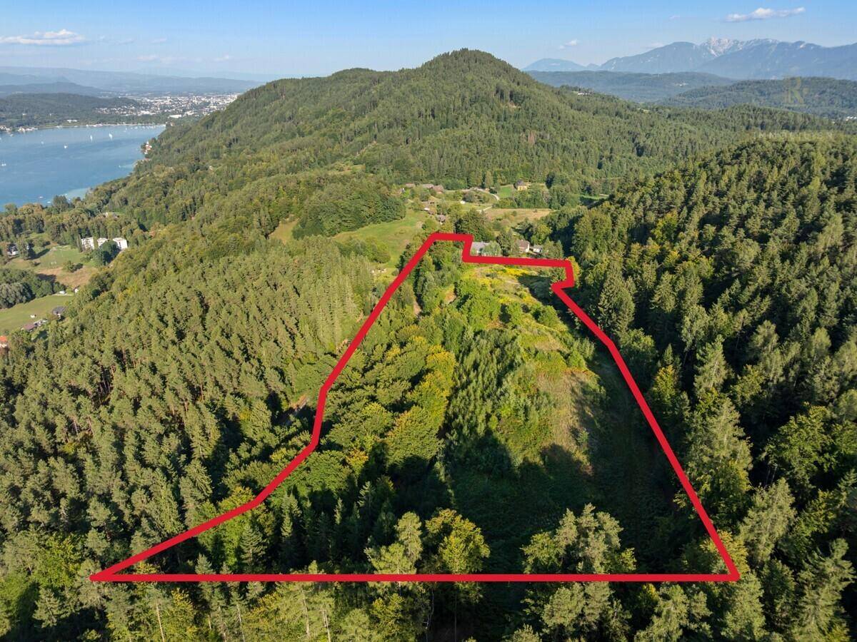Weitläufige Luftaufnahme eines Waldgrundstücks mit See- und Bergblick, durch rote Linie markiert.