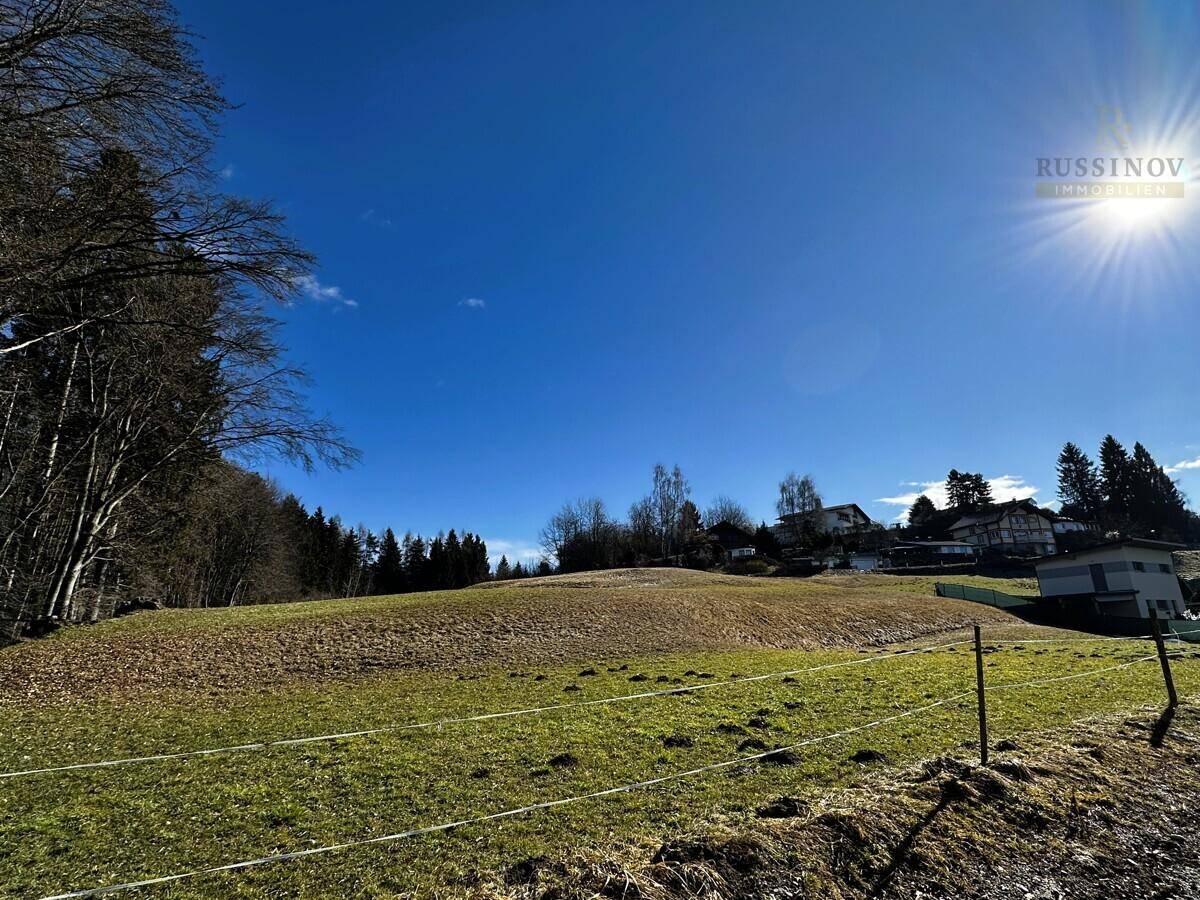 Sonnige Grünfläche mit Blick auf die umliegende Natur und einige Wohnhäuser in der Ferne.
