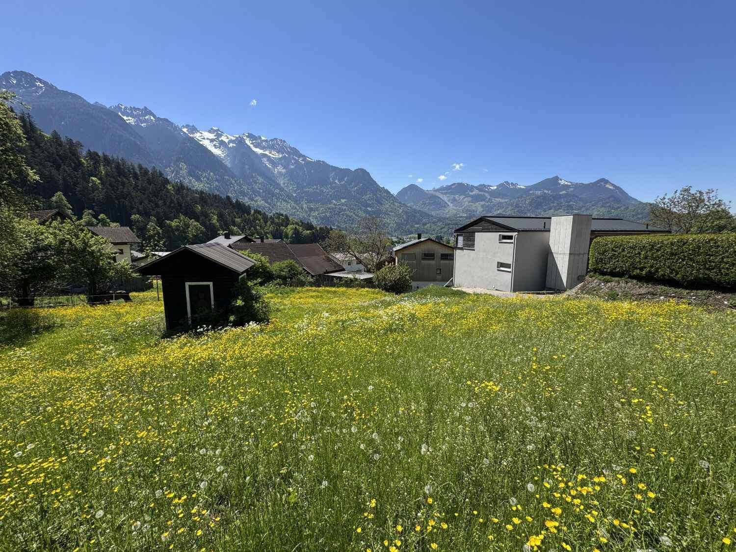 Weitläufige grüne Wiese mit modernen und traditionellen Häusern vor einer Bergkulisse.