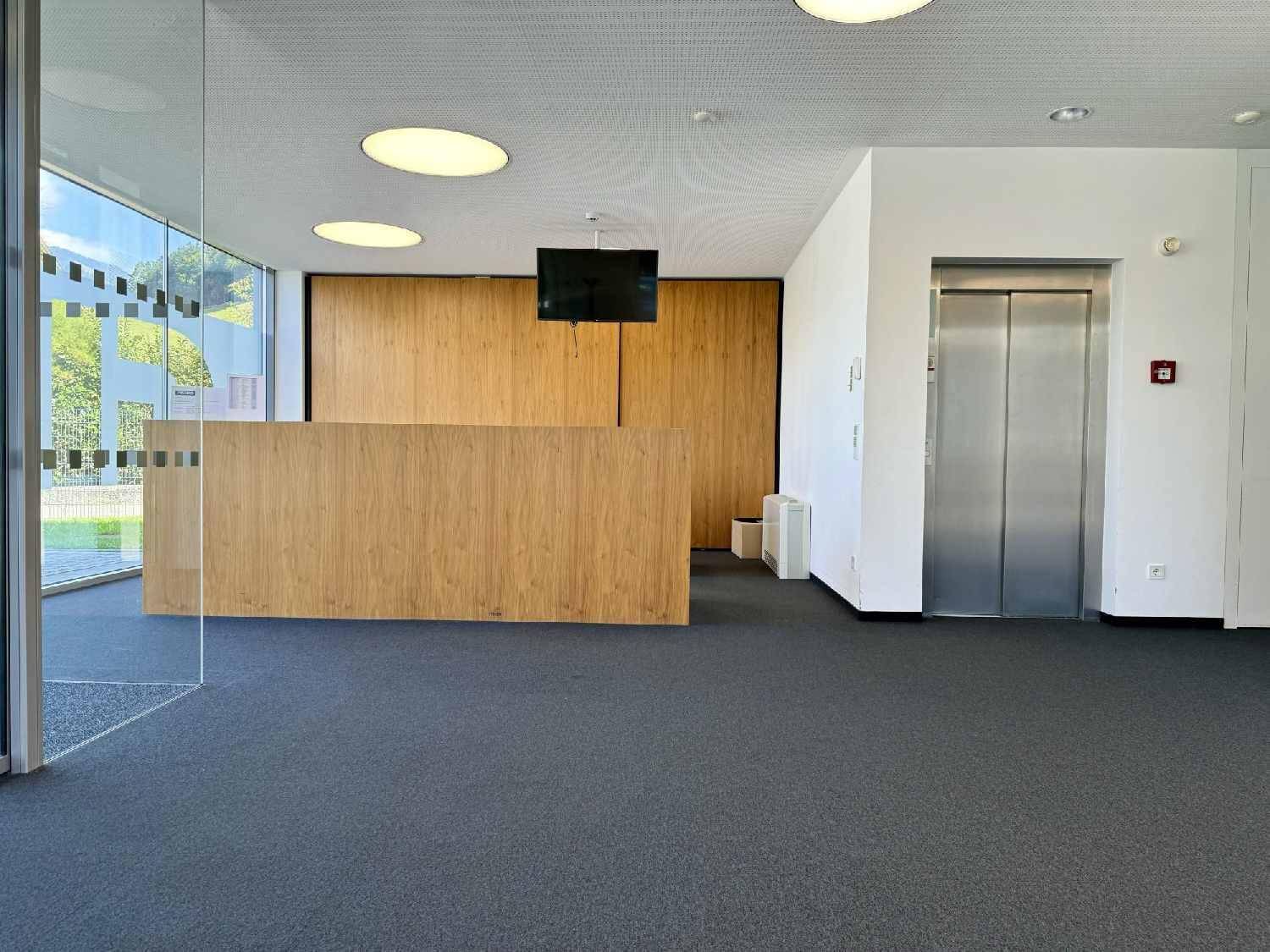 Empfangsbereich mit Holztheke, Glaswänden, Aufzug und dunklem Teppichboden, hell und einladend.