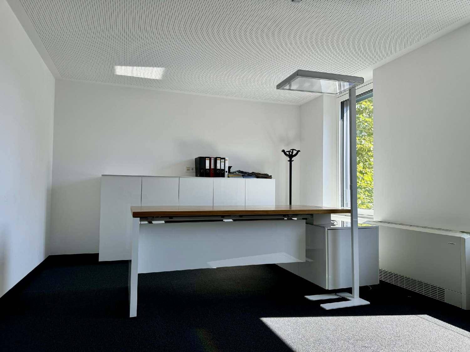 Helles Büro mit Schreibtisch, Aktenschränken und einem Fenster mit viel Tageslicht.