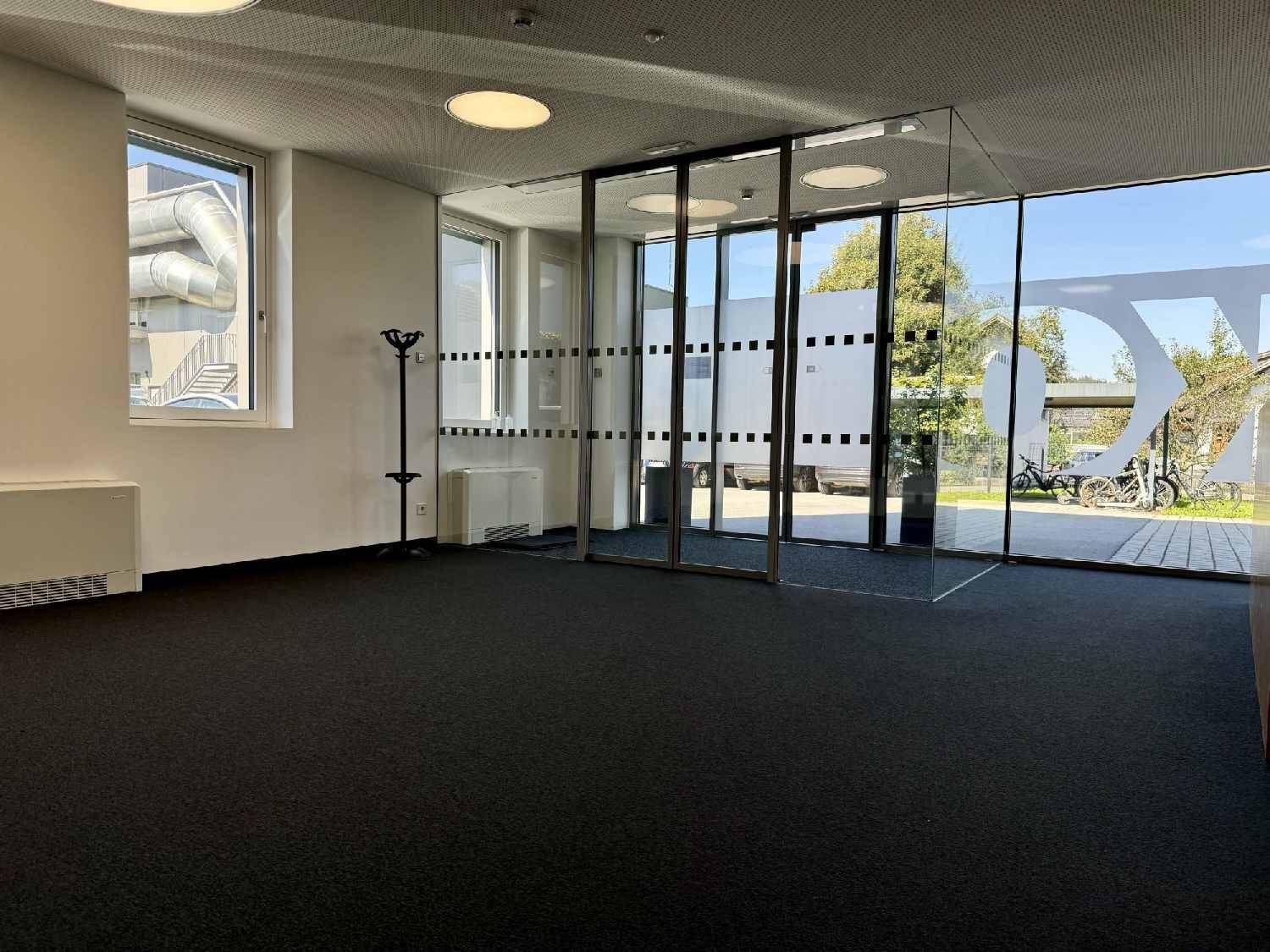 Eingangsbereich eines Büros mit großen Glaspendeltüren, Fenstern und dunklem Teppichboden.