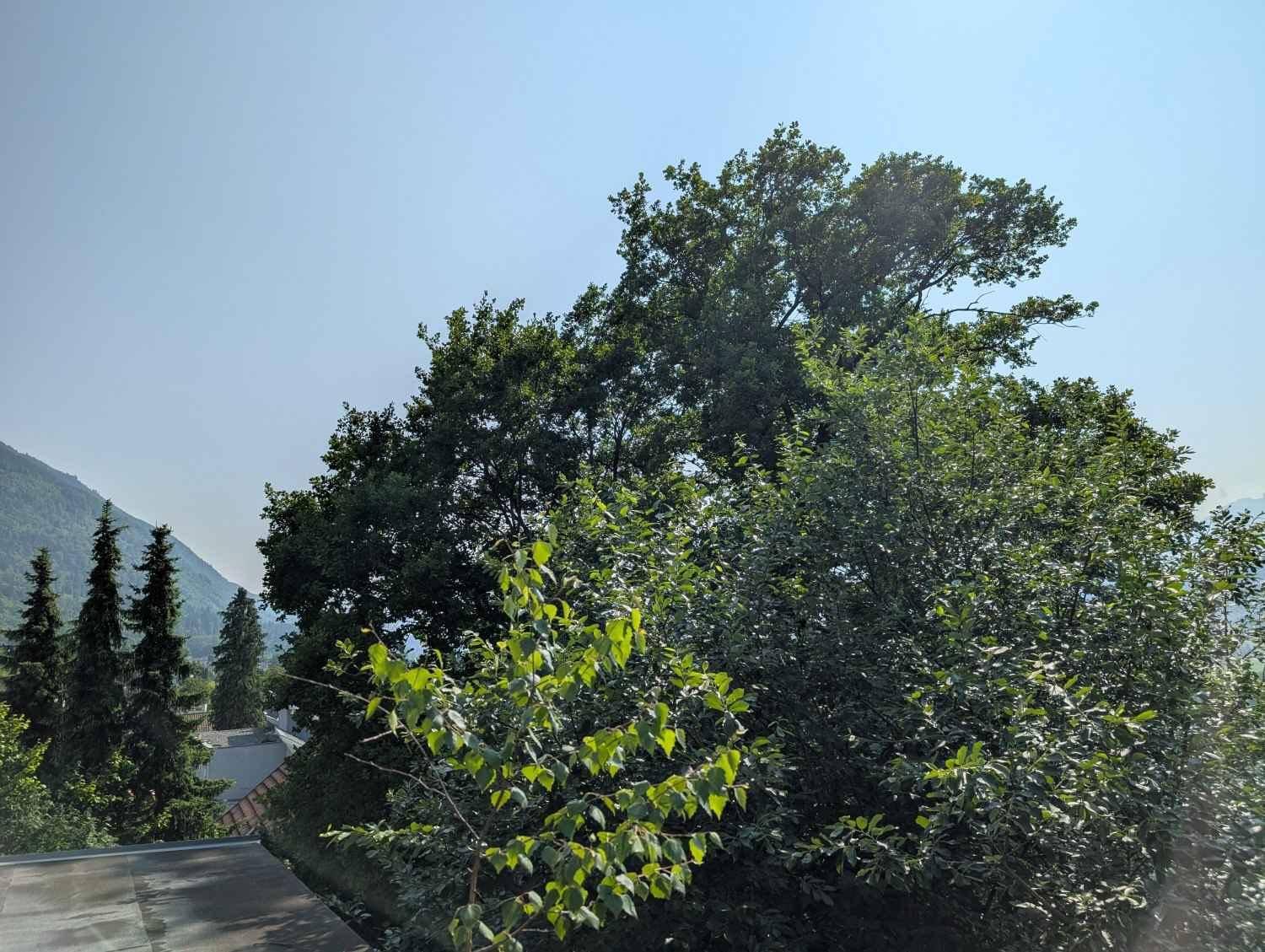PXL_20250609_1501119