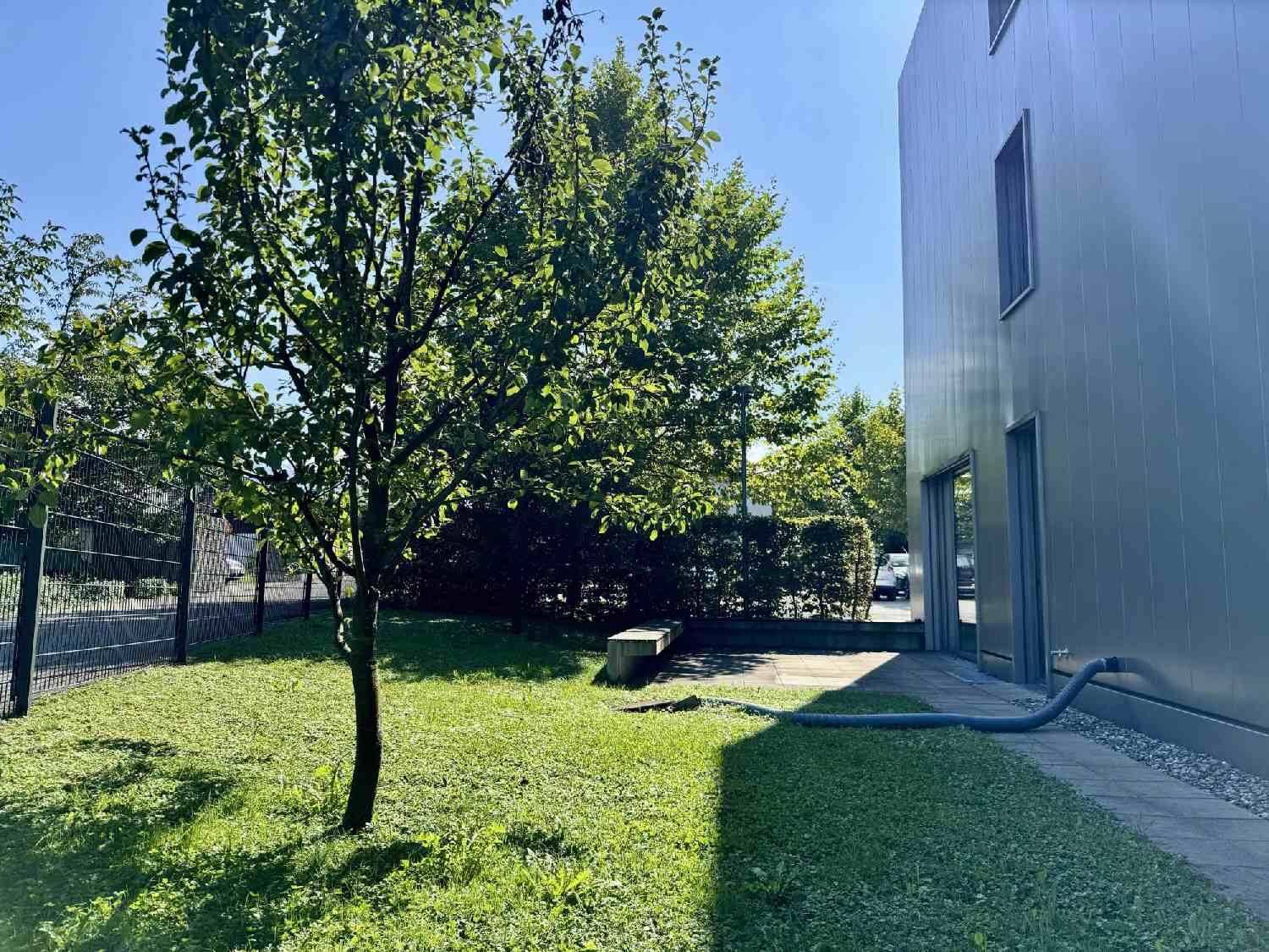 Grüne Rasenfläche neben dem Gebäude mit einem Baum und einem gepflasterten Weg unter blauem Himmel.