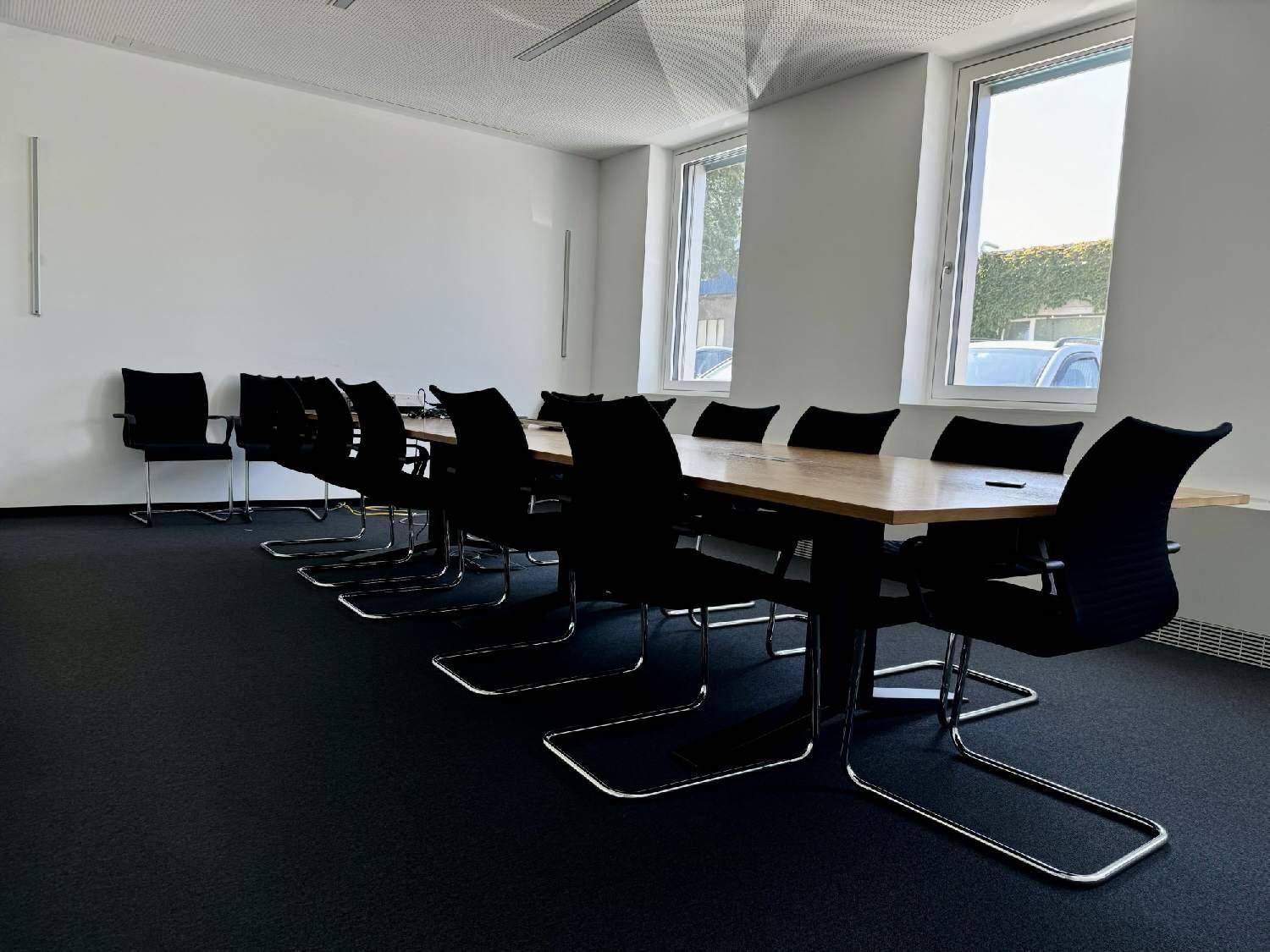 Großer Konferenzraum mit langem Tisch, vielen Stühlen und Teppichboden, mit mehreren Fenstern.