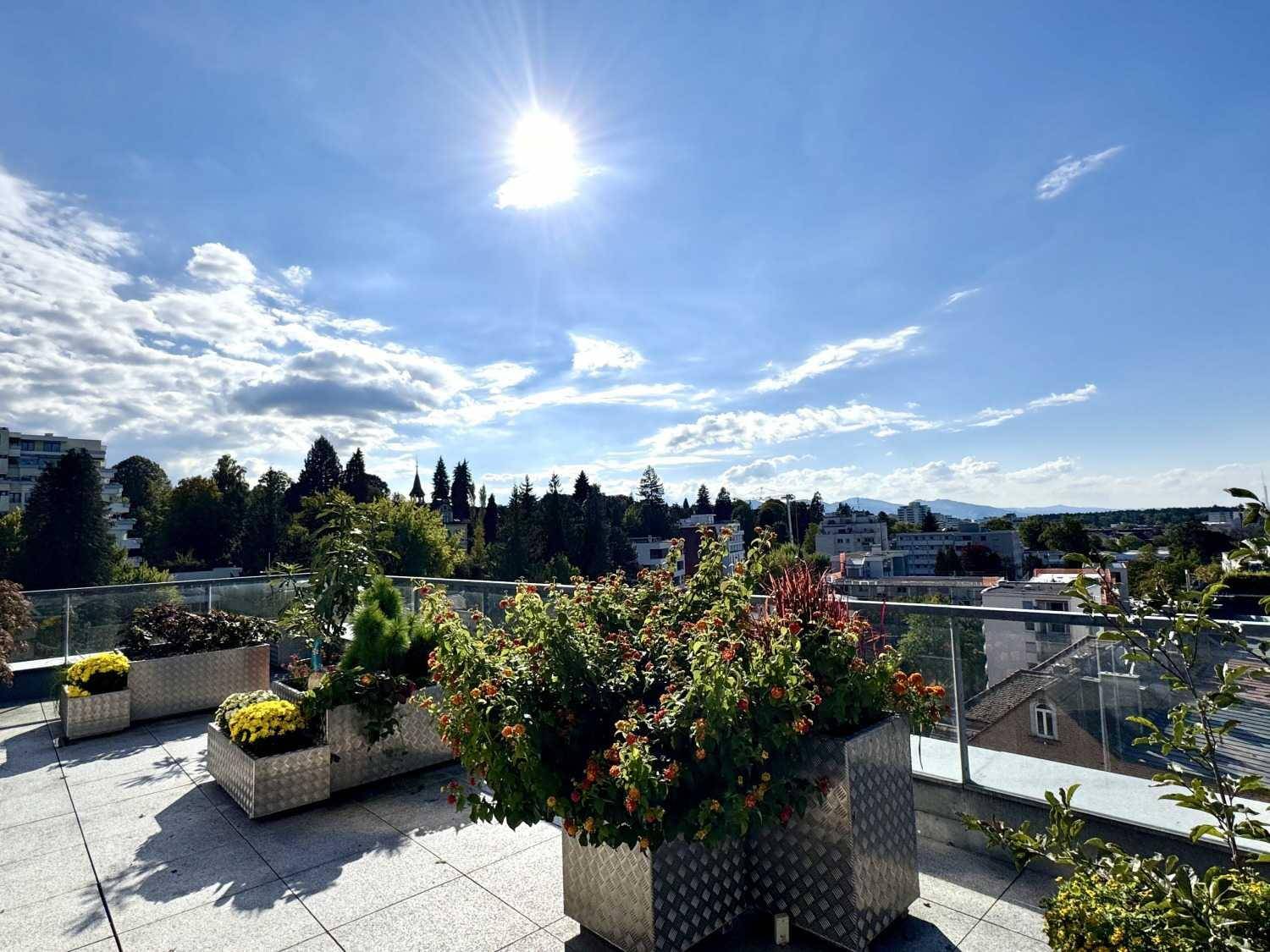 Sonnige Dachterrasse mit großen Pflanzkübeln und üppiger Bepflanzung unter blauem Himmel.