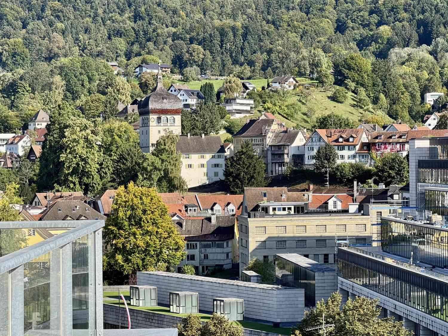 Blick auf eine malerische Stadt in hügeliger Landschaft mit vielfältiger Architektur und viel Grün.