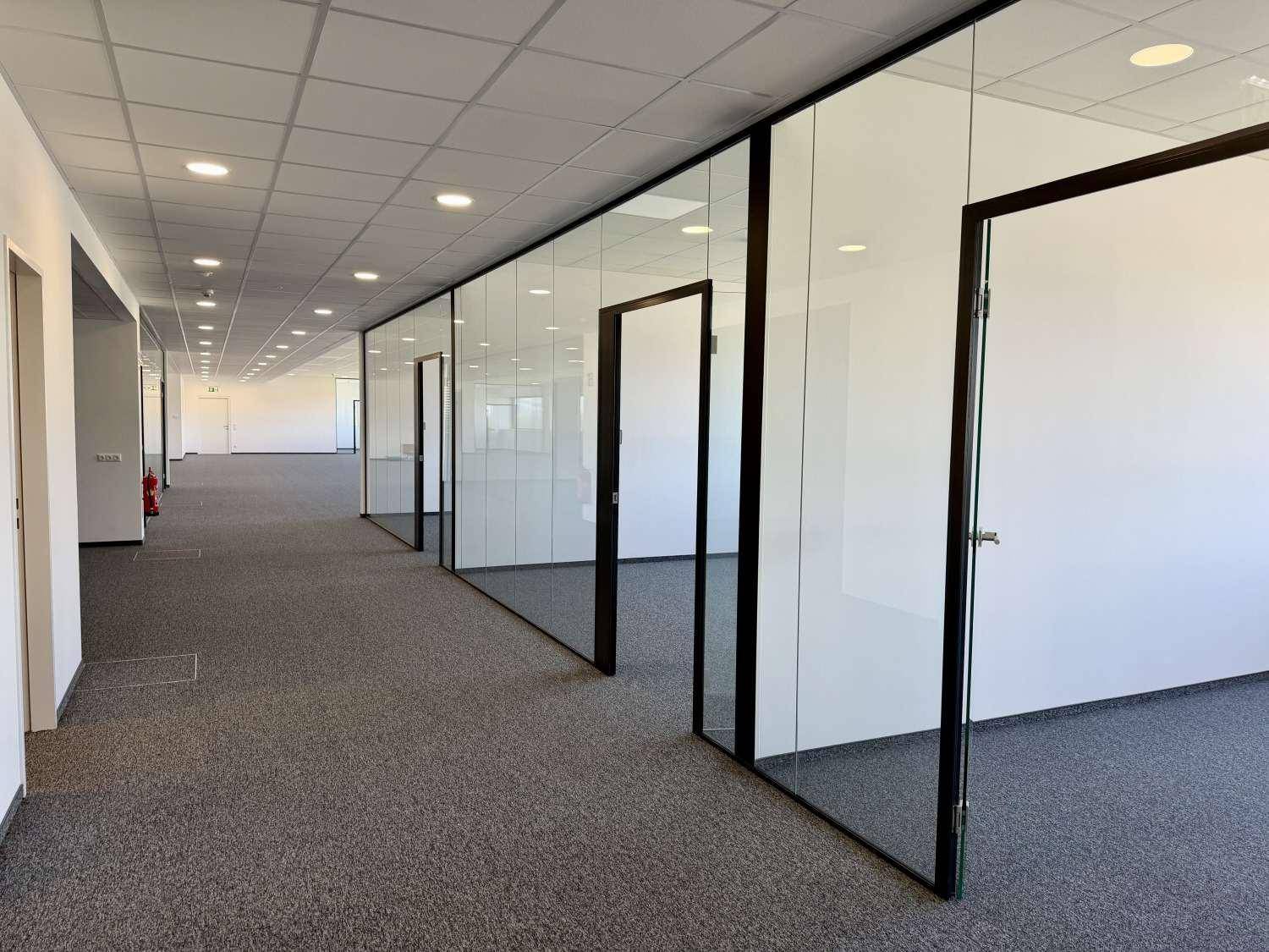 Ein langer Flur in einem Bürogebäude mit Glaswänden, Teppichboden und modernen Türen.