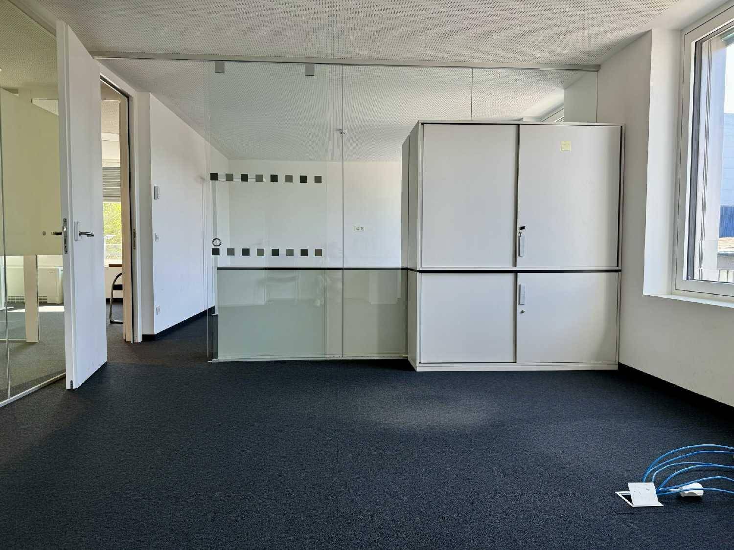 Offener Bürobereich mit Glasabtrennungen, weißen Schränken und dunklem Teppichboden, bietet flexible Arbeitsplätze.
