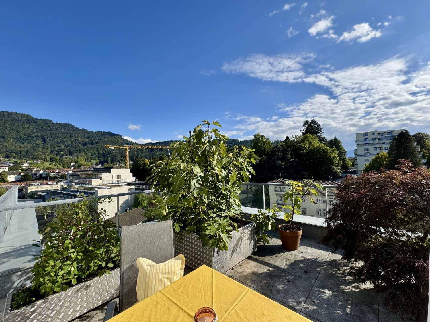 Teil der Dachterrasse mit einem Tisch, Pflanzen in Kübeln und Blick auf die umliegende grüne Landschaft.
