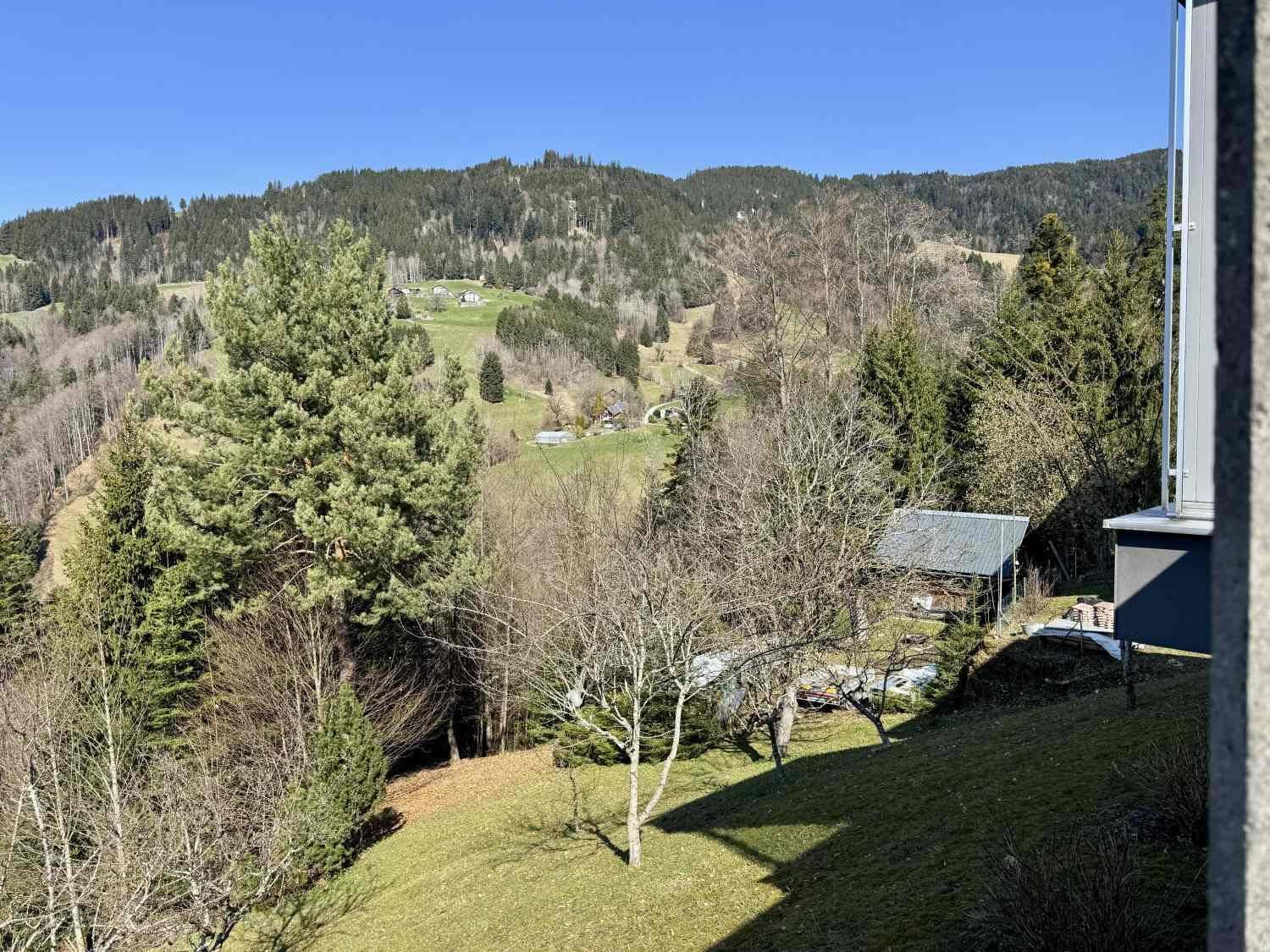 Weitläufiger Blick über die grüne Hügellandschaft mit Bäumen und vereinzelten Häusern.