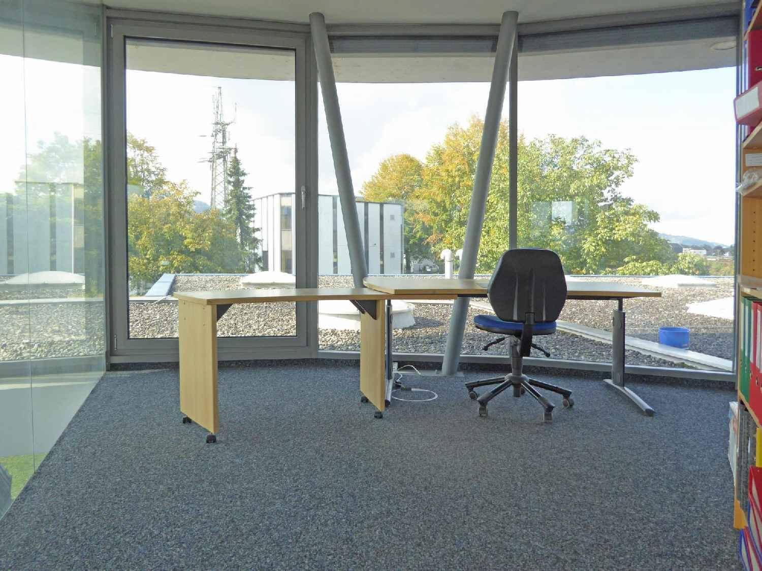Heller Büroraum mit Teppichboden, Schreibtisch und weitem Blick ins Grüne durch große Fenster.
