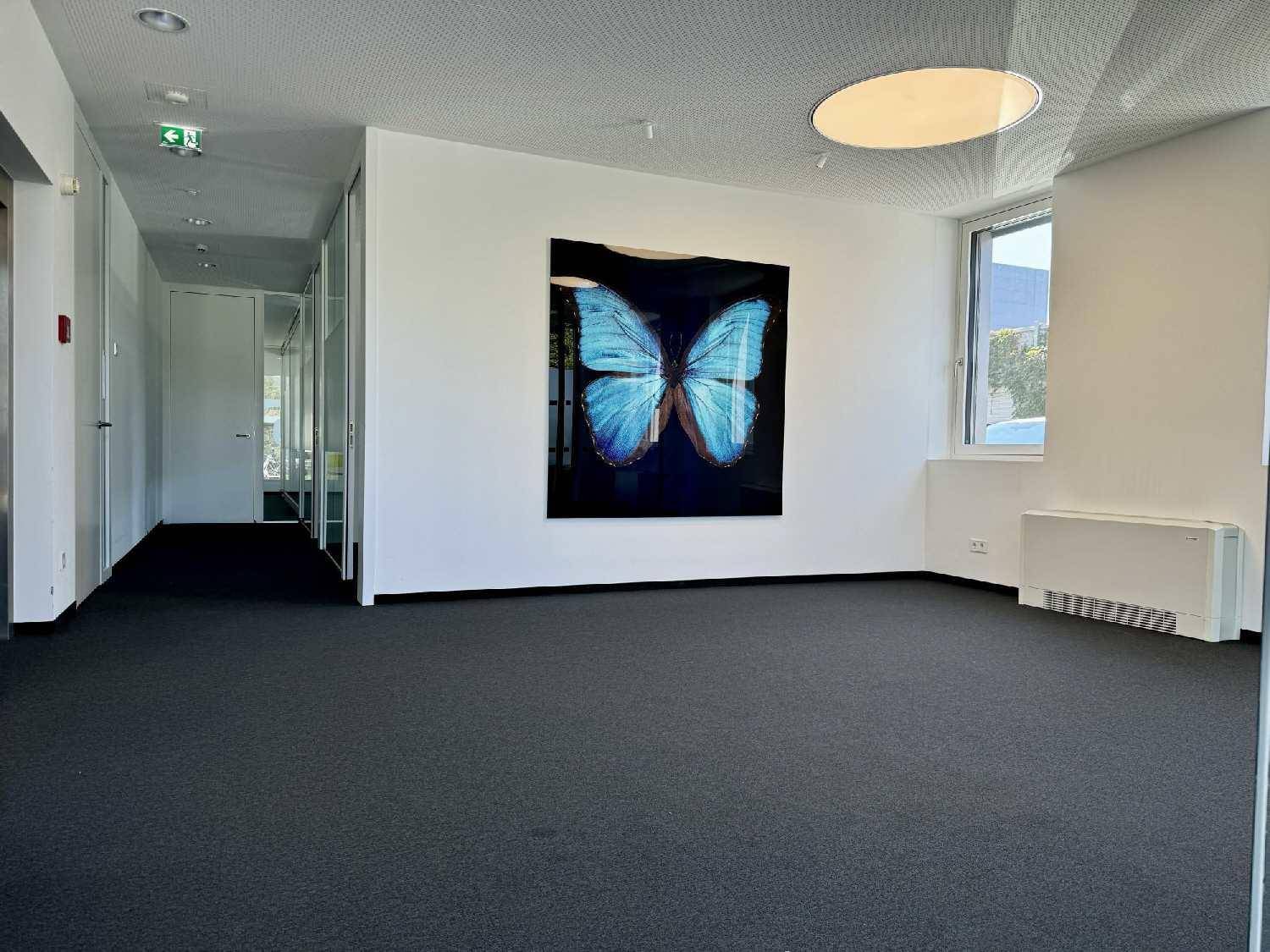 Geräumiger Bürobereich mit Teppichboden, einer großen Schmetterlingskunst und Deckenbeleuchtung.
