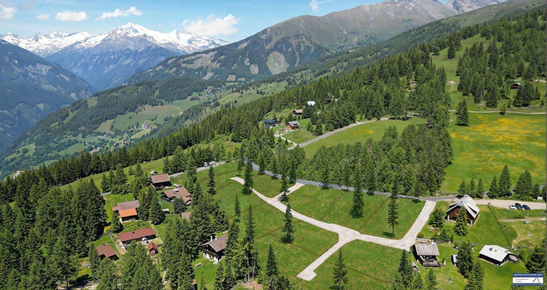 Malerische Luftaufnahme einer alpinen Landschaft mit bewaldeten Hängen und verstreuten Häusern.