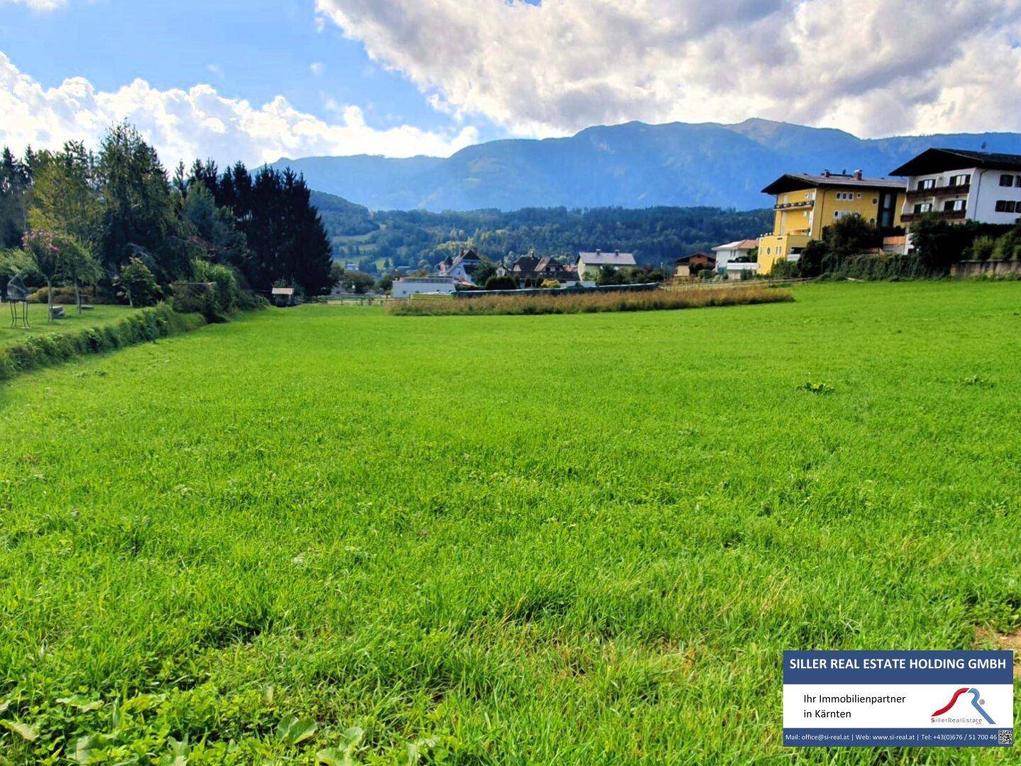 Weitläufige grüne Wiese mit Blick auf bewaldete Hügel und Berge im Hintergrund unter bewölktem Himmel.