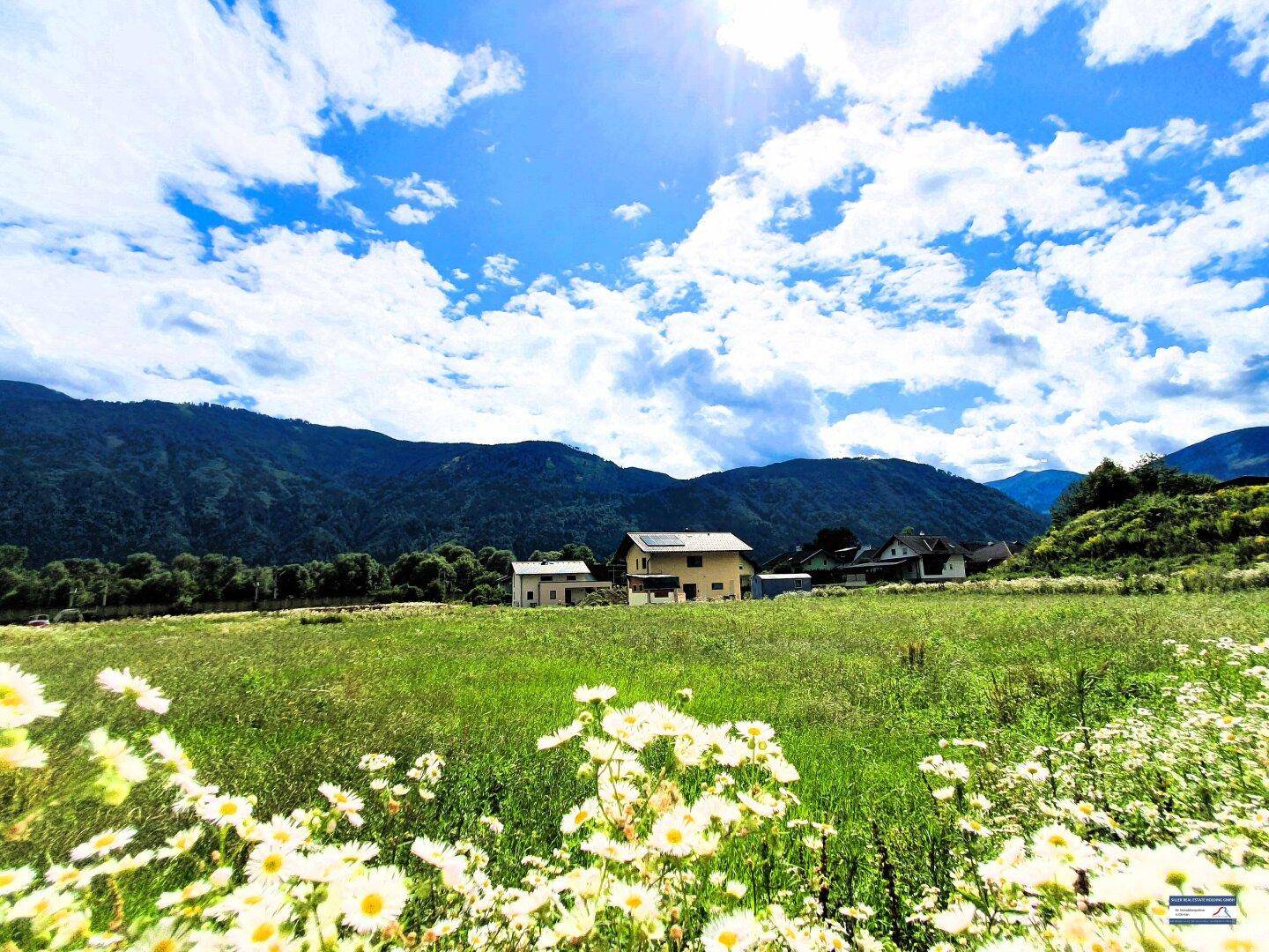 Haus in ländlicher Umgebung mit blühender Wiese im Vordergrund und majestätischen Bergen im Hintergrund unter blauem Himmel.