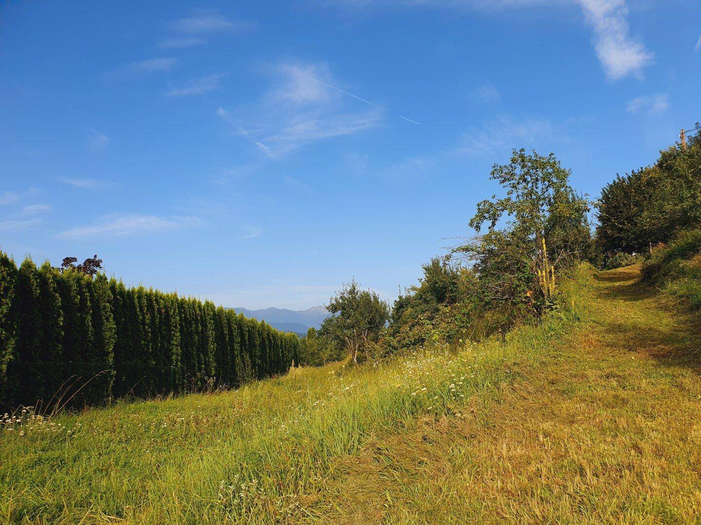 GRUNDSTÜCK MIT SEEBLICK AM MILLSTÄTTER SEE - Ihre Bühne für individuelles Wohnen - Ansicht 5