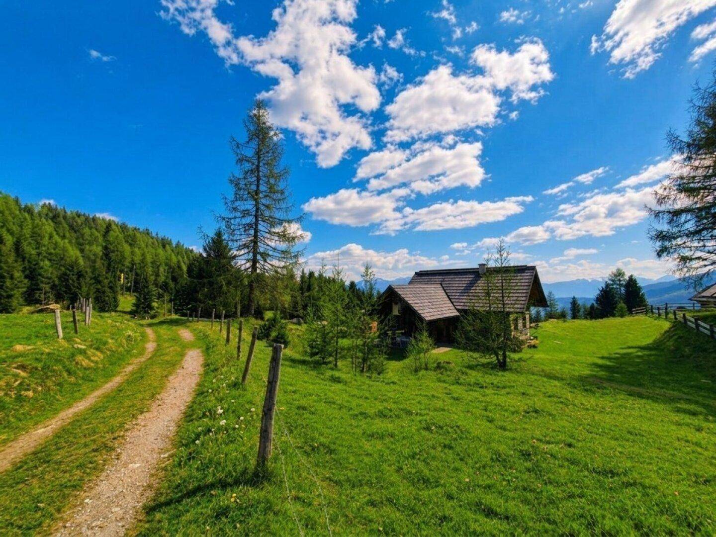Charmantes Holzhaus inmitten einer grünen Wiese mit Waldrand und Bergpanorama unter blauem Himmel.