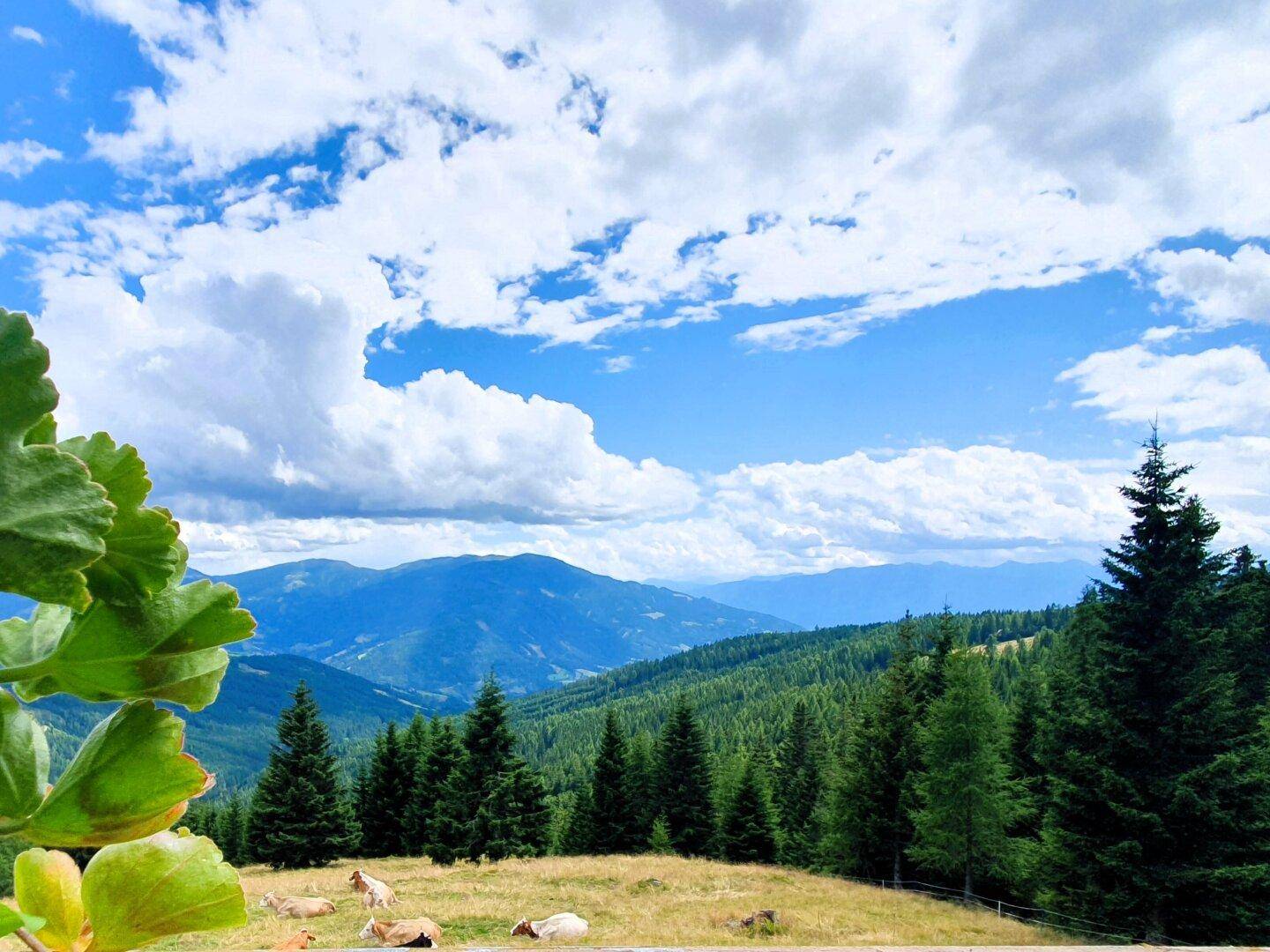Weitläufiger Panoramablick über bewaldete Berge und Täler unter einem strahlend blauen Himmel mit Wolken.