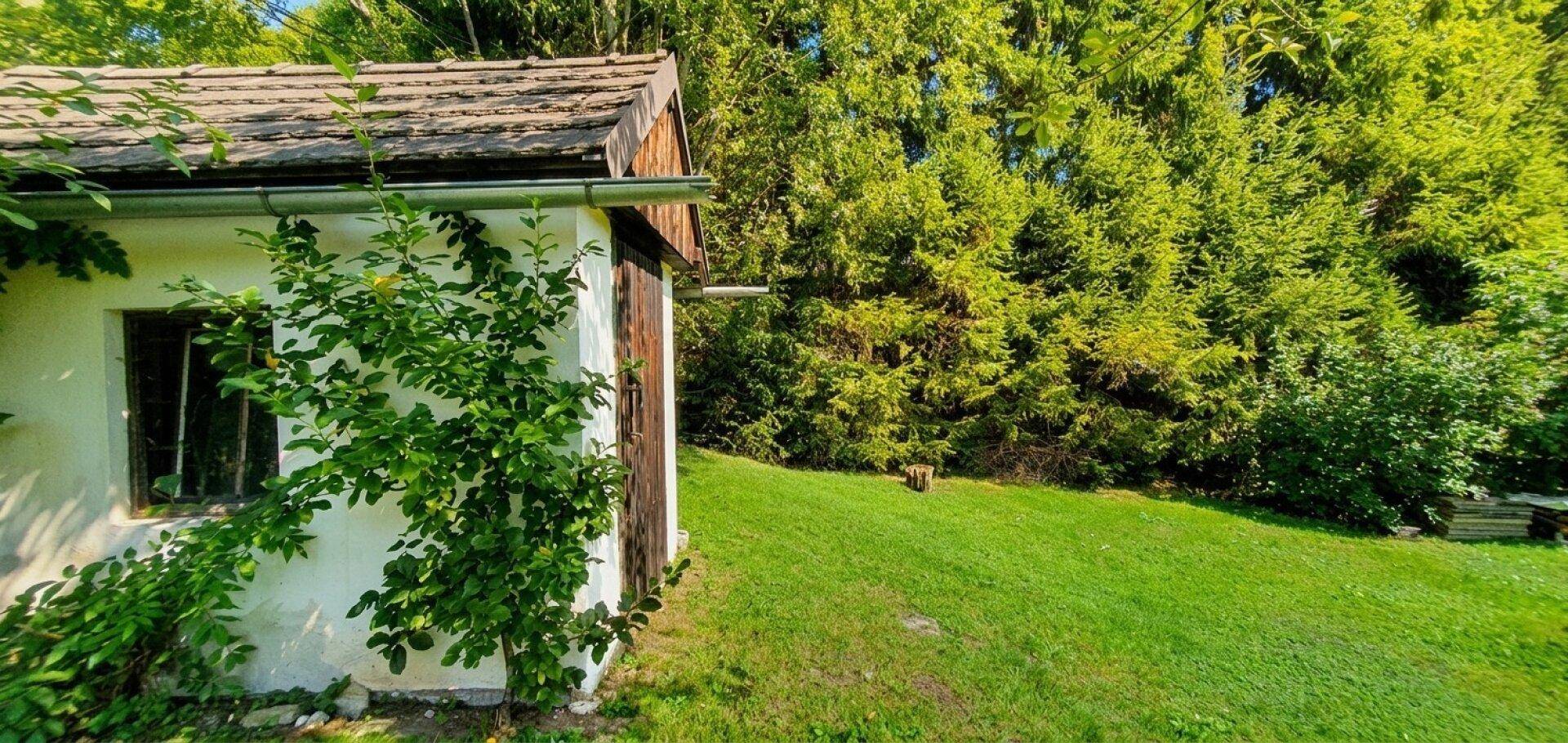 Kleines Nebengebäude mit weißen Wänden und Holzdach, umgeben von grünem Rasen und dichten Bäumen.