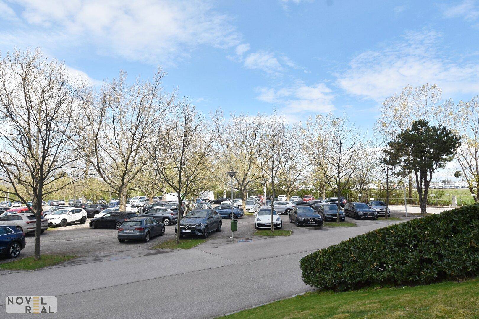 Großer Außenparkplatz mit vielen Autos und Bäumen unter einem klaren blauen Himmel.