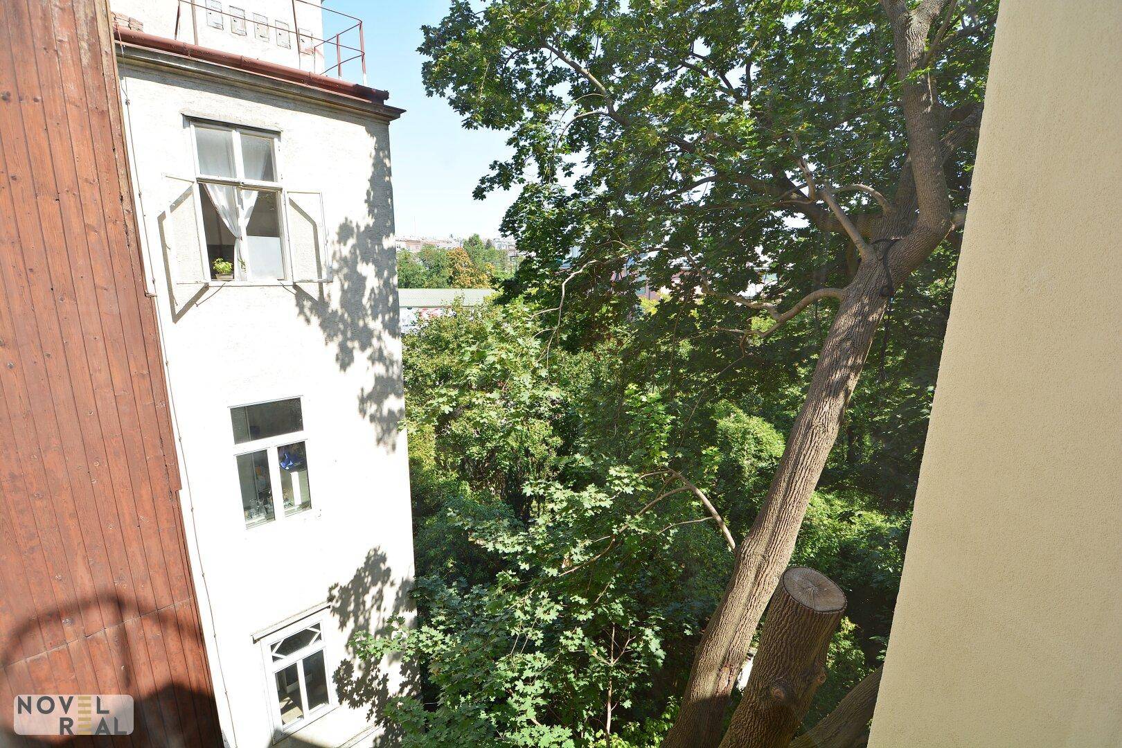 Blick aus dem Fenster auf die Fassade des Altbaus und üppiges Grün.