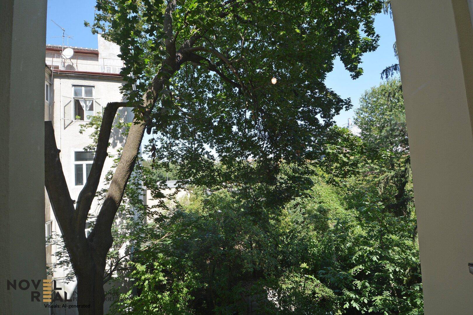 Blick aus dem Fenster auf einen Baum und die Fassade eines benachbarten Gebäudes.
