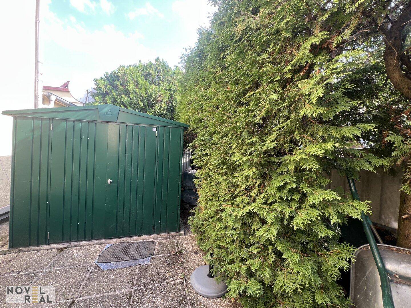 Grüner Gartenschuppen neben einer hohen Hecke auf einem gepflasterten Bereich im Garten.