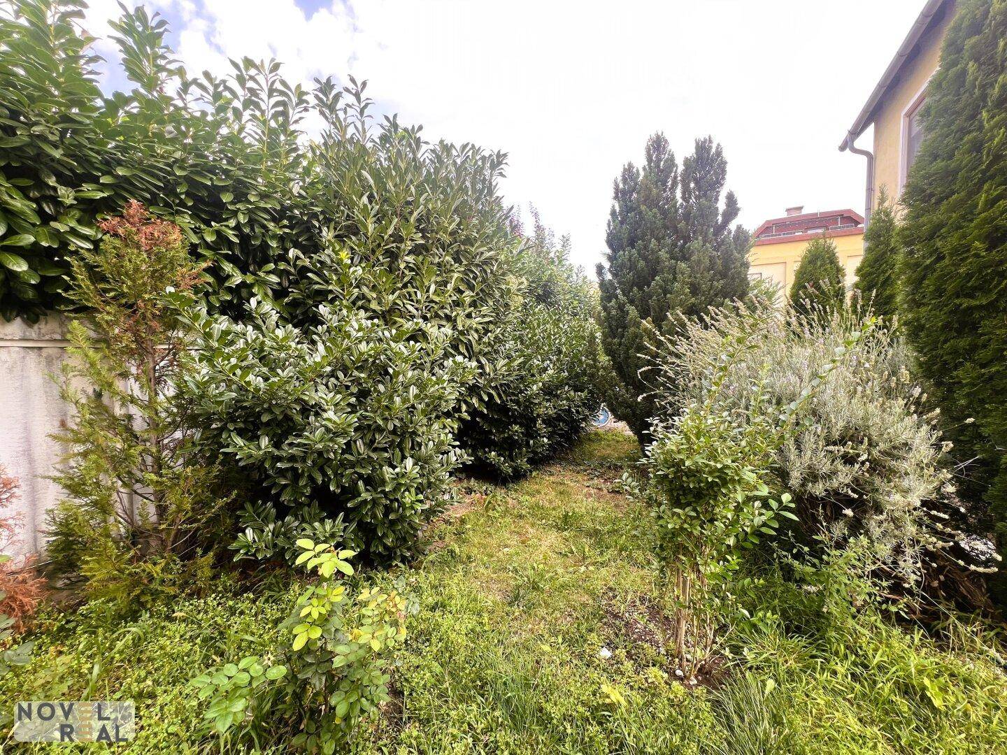 Gepflegter Gartenbereich mit verschiedenen Büschen und grünen Pflanzen, umgeben von Hecken.