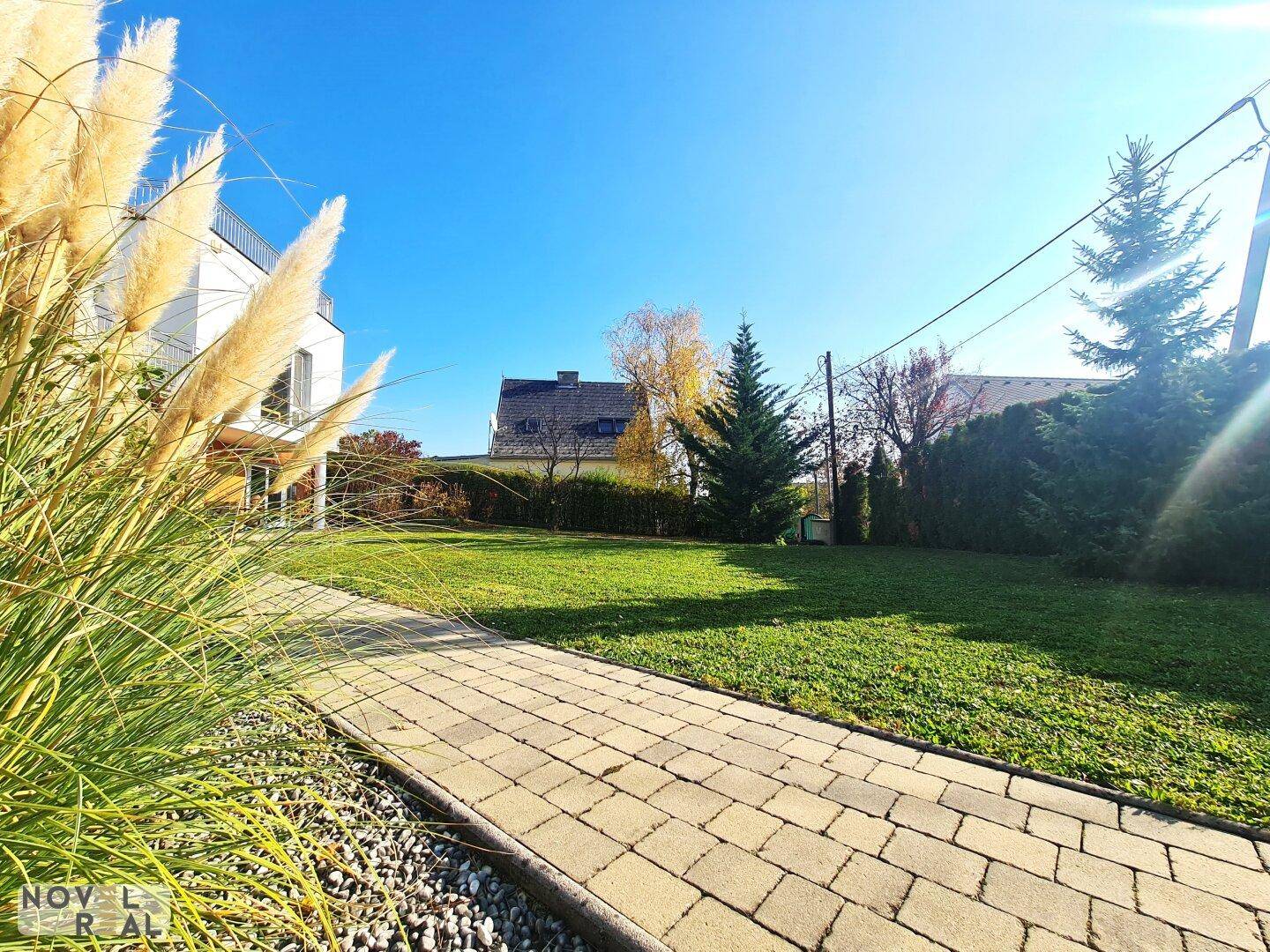 Sonniger Garten mit gepflastertem Weg, Ziergräsern und Blick auf die umliegenden Häuser.