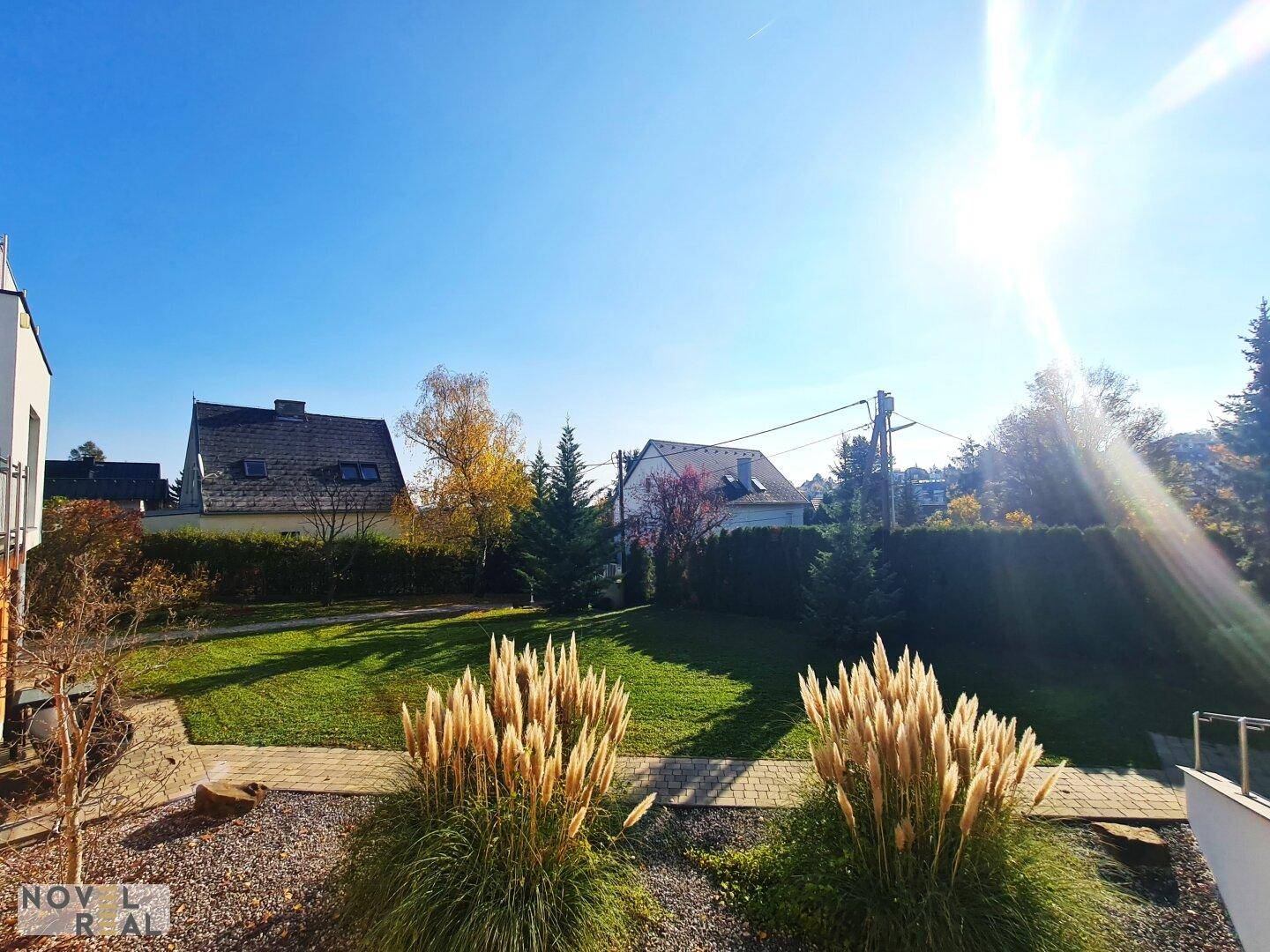 Sonniger Garten mit Ziergräsern und Blick auf die Nachbarschaft unter klarem blauem Himmel.