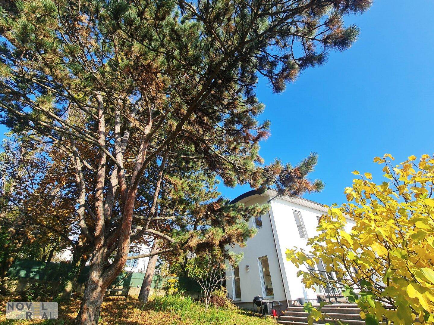 Teilansicht des Hauses umgeben von hohen Bäumen und herbstlichem Laub unter strahlend blauem Himmel.