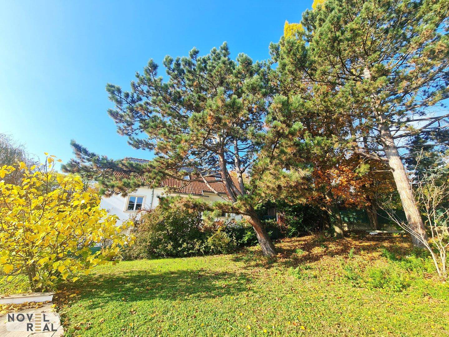 Üppige Bäume mit herbstlichem Laub und Blick auf ein benachbartes Haus unter blauem Himmel.