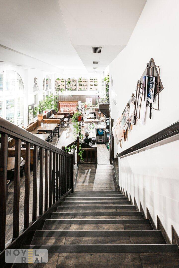 Blick von oben auf eine Holztreppe, die zu einem hellen Restaurantbereich mit Pflanzen führt.