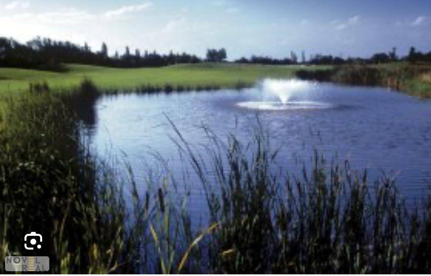 Ruhiger Teich mit Springbrunnen, umgeben von Schilf und grünen Wiesen unter blauem Himmel.