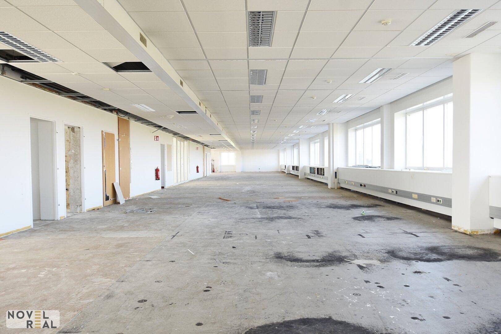 Großer, leerer Büroraum mit abgehängter Decke und vielen Fenstern, bereit für den Ausbau.
