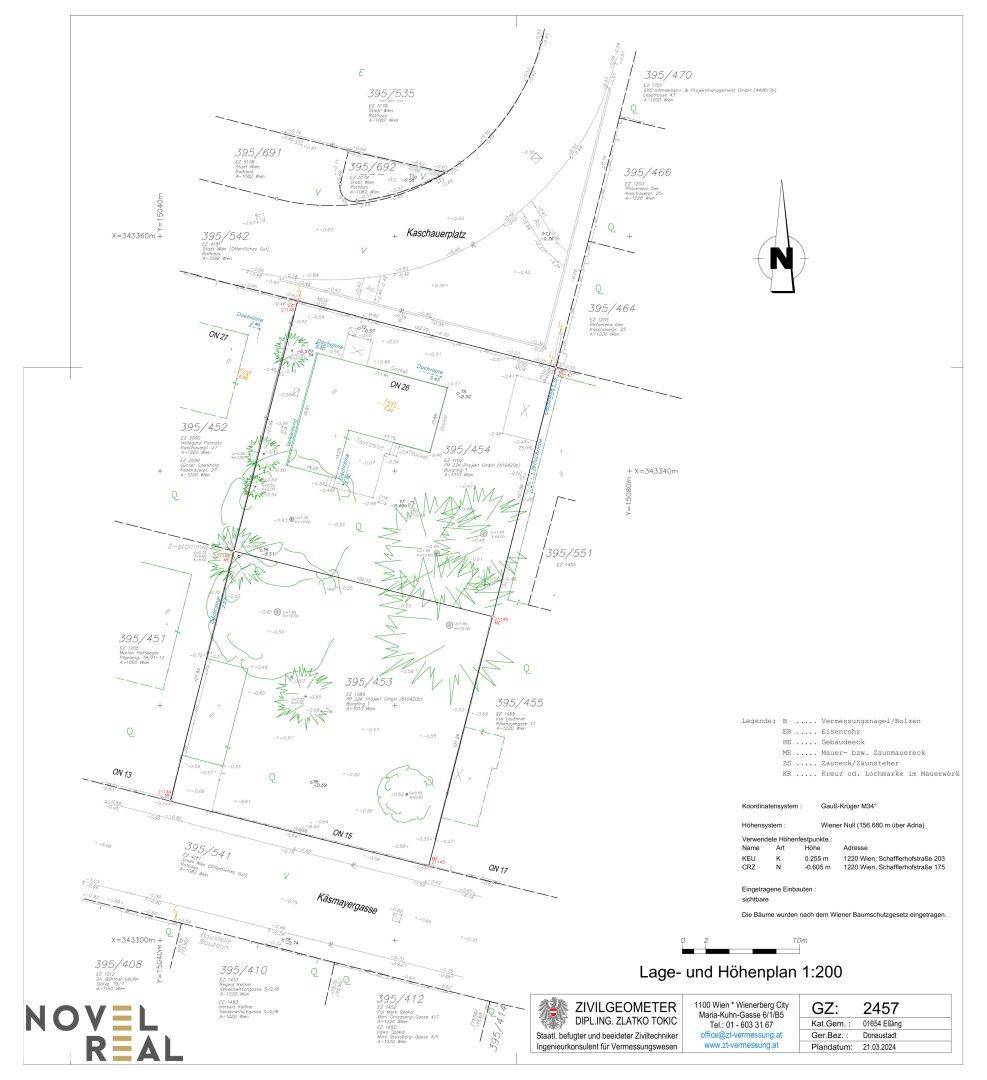Lage- und Höhenplan eines Grundstücks mit eingezeichneten Bäumen und umgebenden Straßen.