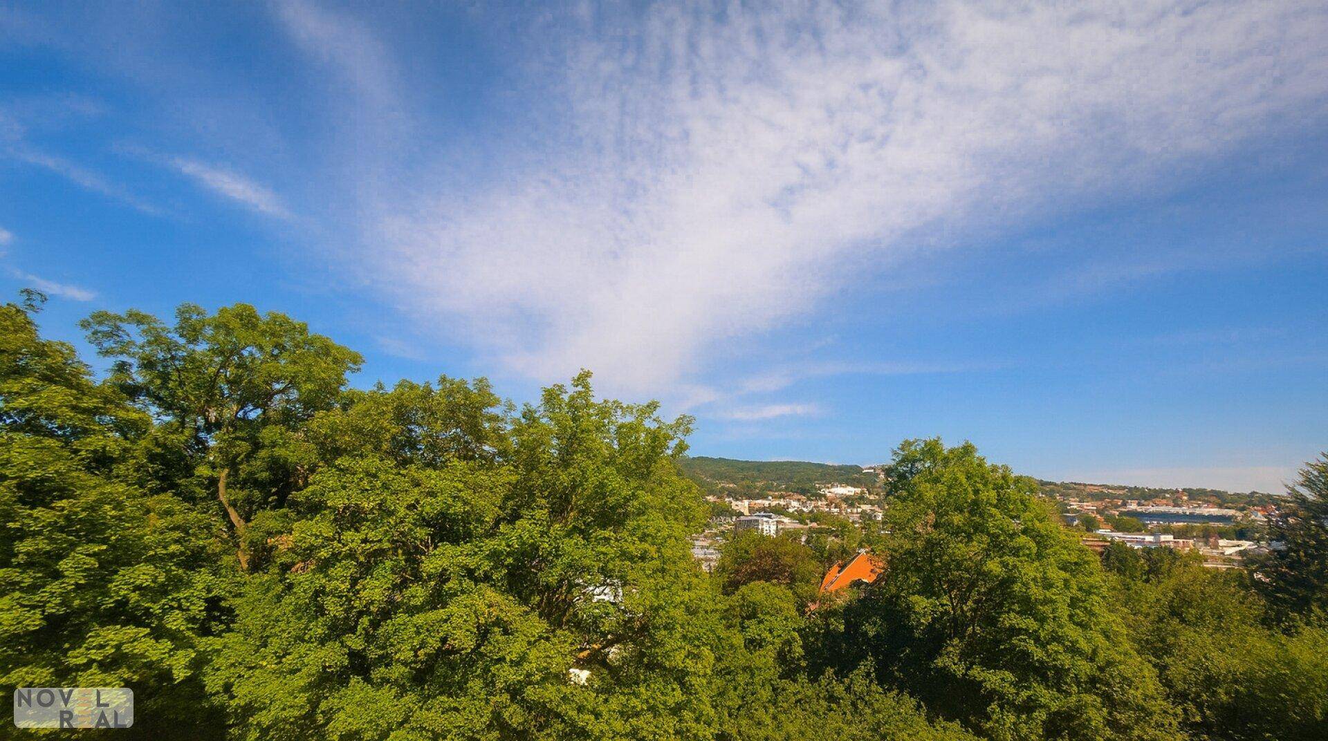 Weitläufiger Blick über grüne Baumwipfel und eine Stadtlandschaft unter blauem Himmel.