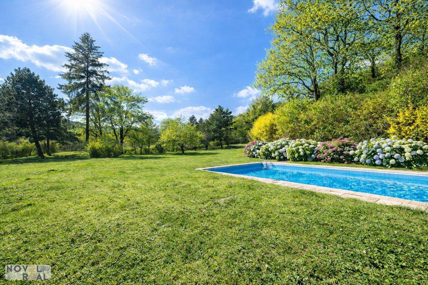 Sonniger Garten mit Pool und blühenden Hortensien, umgeben von weitläufigen Grünflächen.