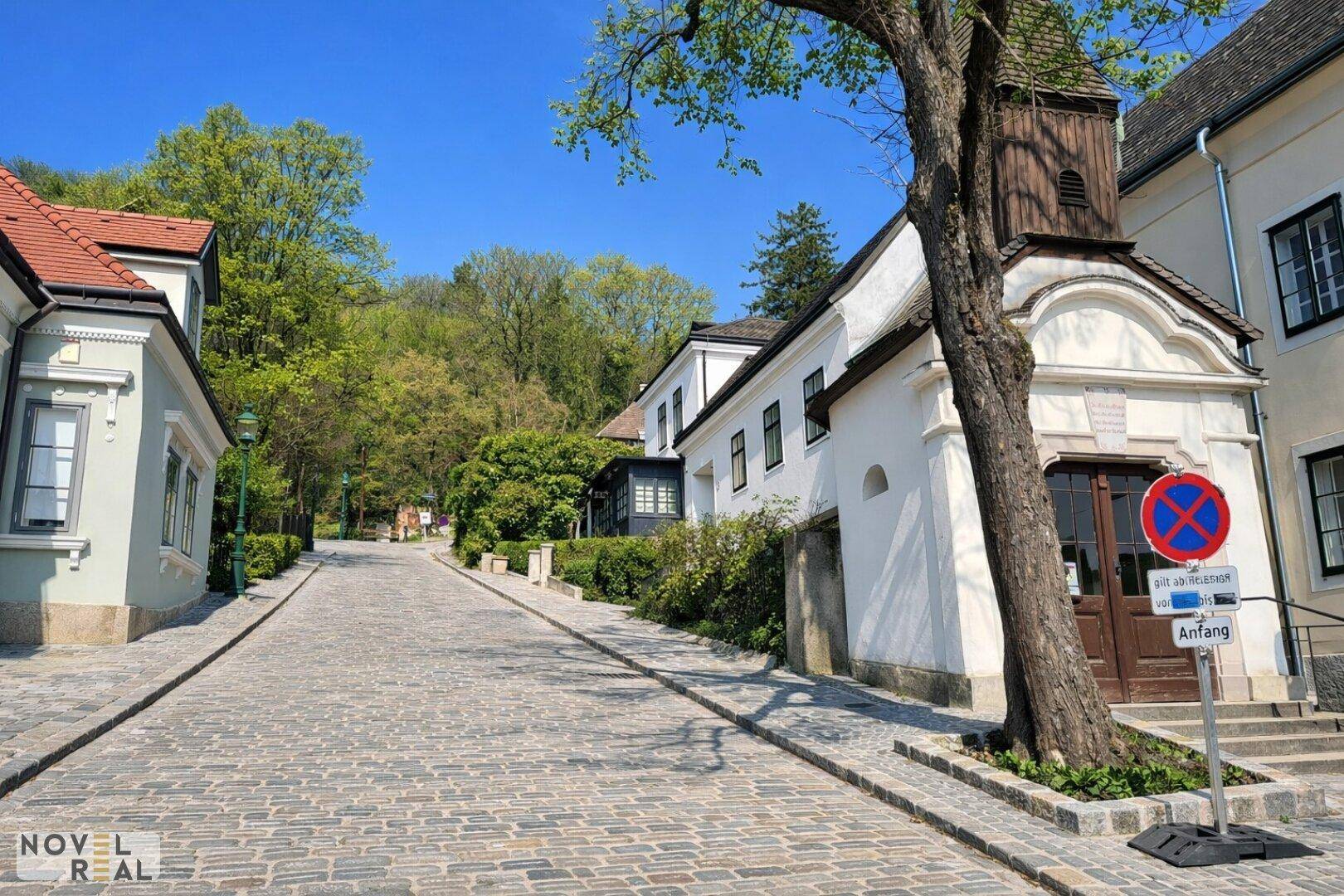 Historische Kopfsteinpflasterstraße mit traditionellen Gebäuden und altem Baumbestand.